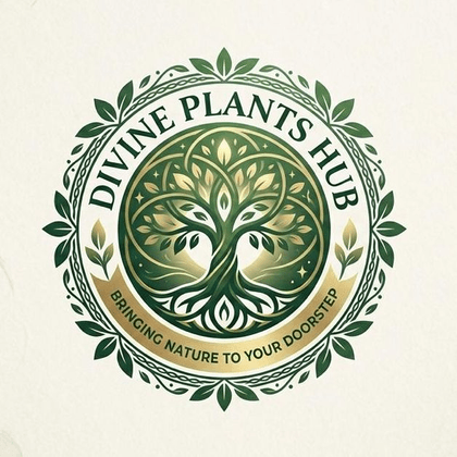 Divine Plants Hub