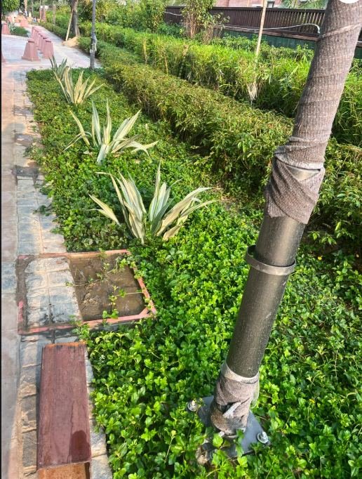 Nursery and landscape work