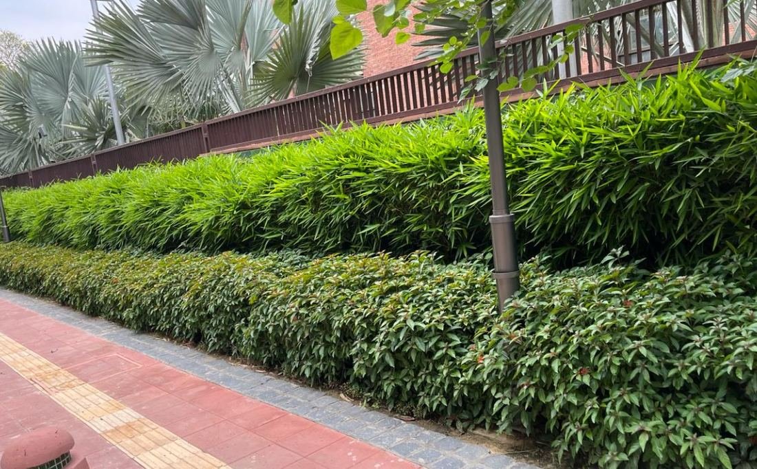 Blog 1