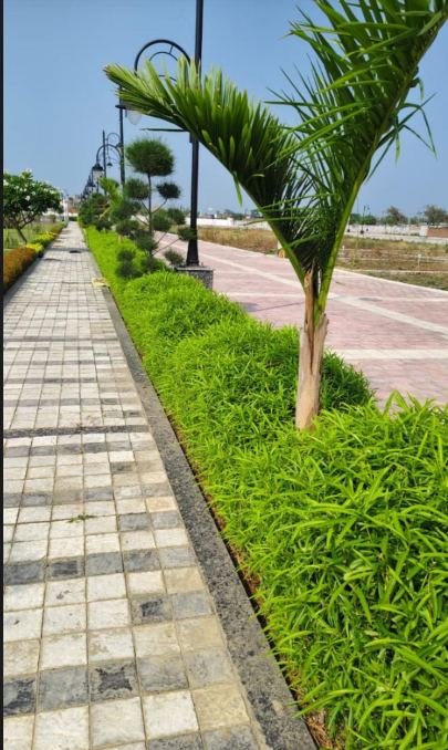 Stone walkway